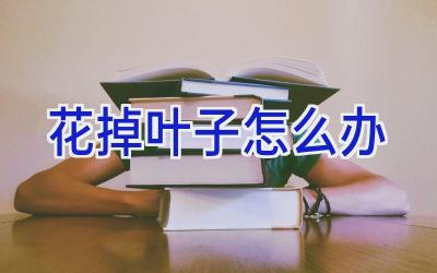 花掉叶子怎么办插图 花掉叶子怎么办插图