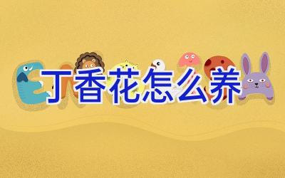 丁香花怎么养插图