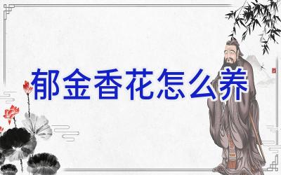 郁金香花怎么养插图 郁金香花怎么养插图