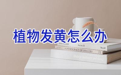 植物发黄怎么办插图 植物发黄怎么办插图