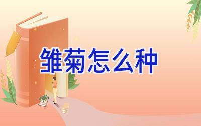 雏菊怎么种插图 雏菊怎么种插图