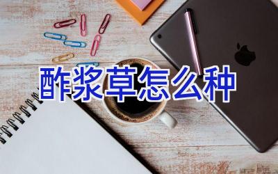 酢浆草怎么种插图 酢浆草怎么种插图