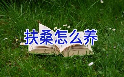 扶桑怎么养插图 扶桑怎么养插图