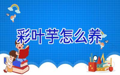 彩叶芋怎么养插图 彩叶芋怎么养插图