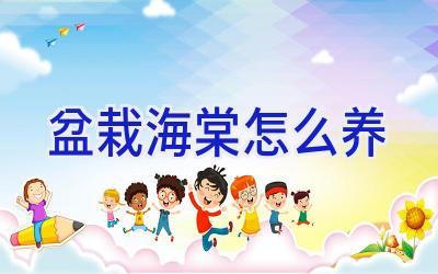 盆栽海棠怎么养插图 盆栽海棠怎么养插图