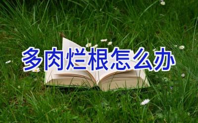 多肉烂根怎么办插图