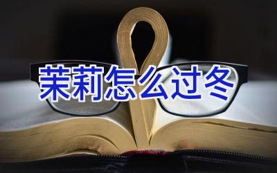 茉莉怎么过冬插图