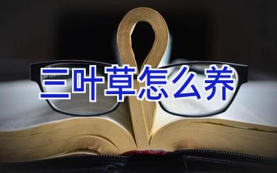 三叶草怎么养插图 三叶草怎么养插图