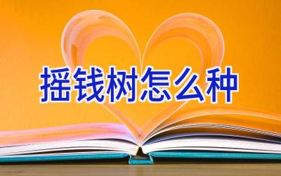 摇钱树怎么种插图 摇钱树怎么种插图