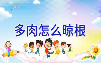 多肉怎么晾根插图 多肉怎么晾根插图