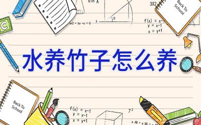 水养竹子怎么养插图 水养竹子怎么养插图