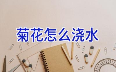 菊花怎么浇水插图