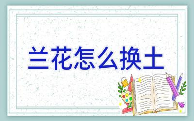 兰花怎么换土插图 兰花怎么换土插图