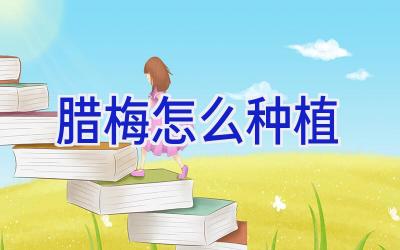 腊梅怎么种植插图 腊梅怎么种植插图