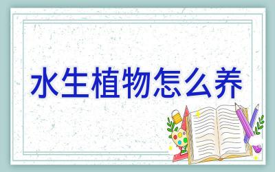 水生植物怎么养插图 水生植物怎么养插图