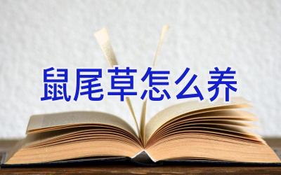 鼠尾草怎么养插图 鼠尾草怎么养插图