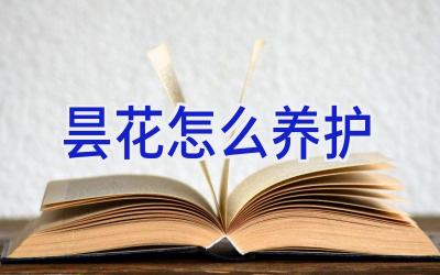 昙花怎么养护插图