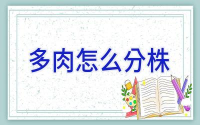 多肉怎么分株插图