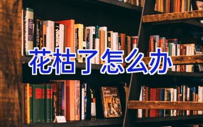 花枯了怎么办插图 花枯了怎么办插图