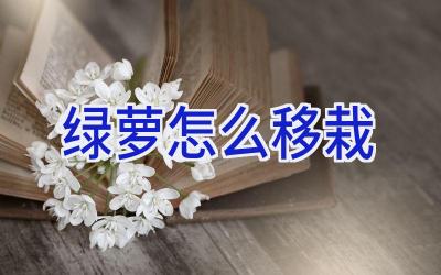 绿萝怎么移栽插图