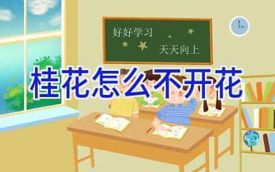 桂花怎么不开花插图