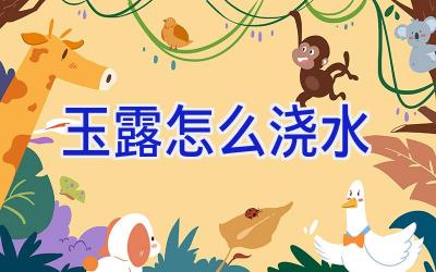 玉露怎么浇水插图 玉露怎么浇水插图