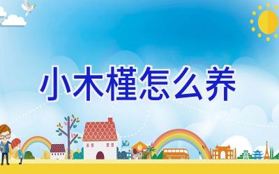 小木槿怎么养插图 小木槿怎么养插图