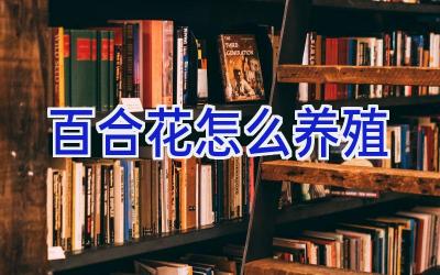 百合花怎么养殖插图