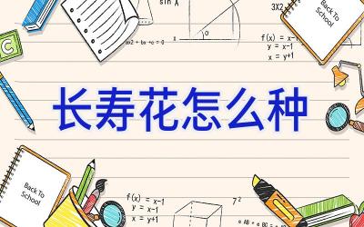 长寿花怎么种插图
