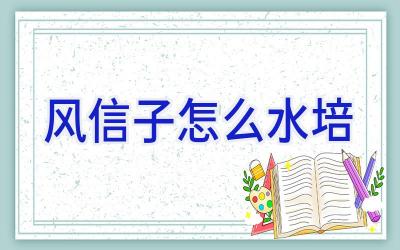风信子怎么水培插图 风信子怎么水培插图