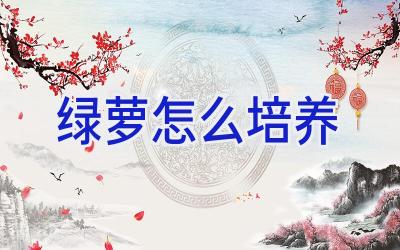 绿萝怎么培养插图 绿萝怎么培养插图