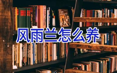 风雨兰怎么养插图 风雨兰怎么养插图