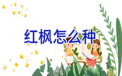 红枫怎么种插图 红枫怎么种插图