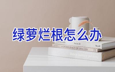 绿萝烂根怎么办插图 绿萝烂根怎么办插图