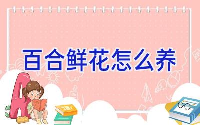 百合鲜花怎么养插图