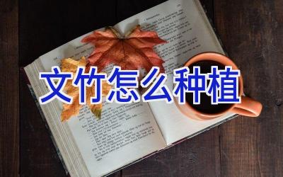 文竹怎么种植插图