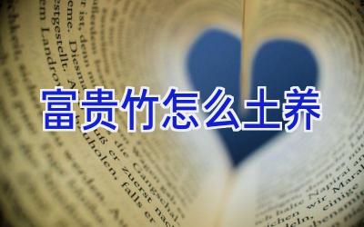 富贵竹怎么土养插图 富贵竹怎么土养插图