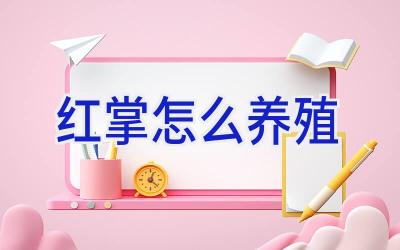 红掌怎么养殖插图 红掌怎么养殖插图