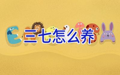 三七怎么养插图