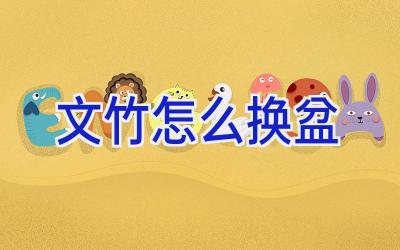 文竹怎么换盆插图 文竹怎么换盆插图