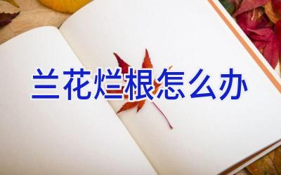 兰花烂根怎么办插图 兰花烂根怎么办插图