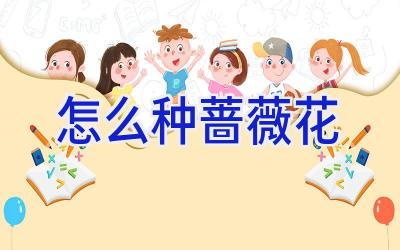 怎么种蔷薇花插图