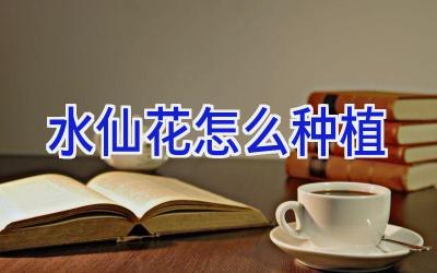 水仙花怎么种植插图 水仙花怎么种植插图