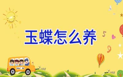 玉蝶怎么养插图