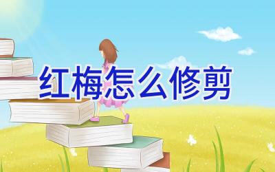 红梅怎么修剪插图