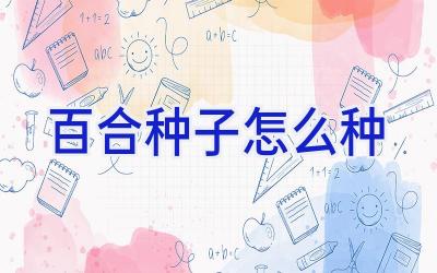 百合种子怎么种插图 百合种子怎么种插图