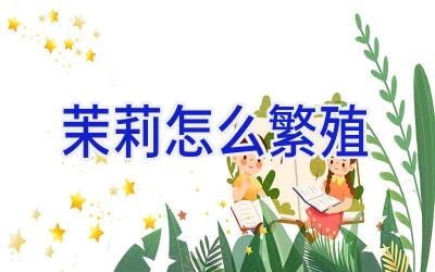 茉莉怎么繁殖插图 茉莉怎么繁殖插图