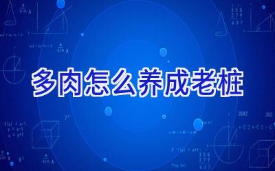 多肉怎么养成老桩插图