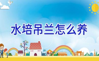 水培吊兰怎么养插图 水培吊兰怎么养插图