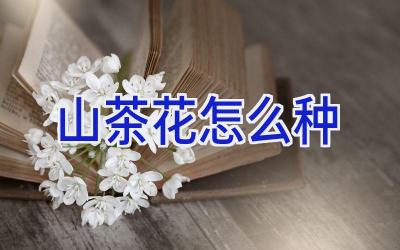 山茶花怎么种插图